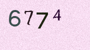 Visual Confirmation Security Code