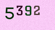 Visual Confirmation Security Code
