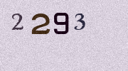 Visual Confirmation Security Code