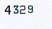 Visual Confirmation Security Code