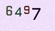 Visual Confirmation Security Code