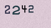 Visual Confirmation Security Code