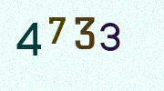 Visual Confirmation Security Code