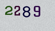 Visual Confirmation Security Code