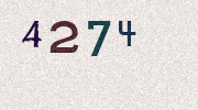 Visual Confirmation Security Code