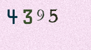 Visual Confirmation Security Code