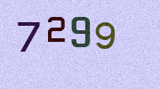 Visual Confirmation Security Code