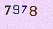 Visual Confirmation Security Code