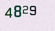 Visual Confirmation Security Code