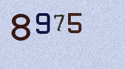 Visual Confirmation Security Code