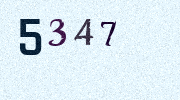 Visual Confirmation Security Code