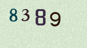 Visual Confirmation Security Code