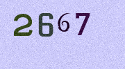 Visual Confirmation Security Code